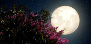 luna-llena-efectos-en-las-personas-2020