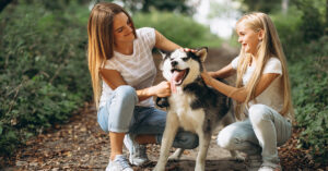 perros-cuidados-como-se-domesticaron