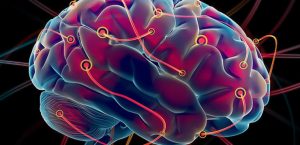 cerebro ciega chip vuelve a ver